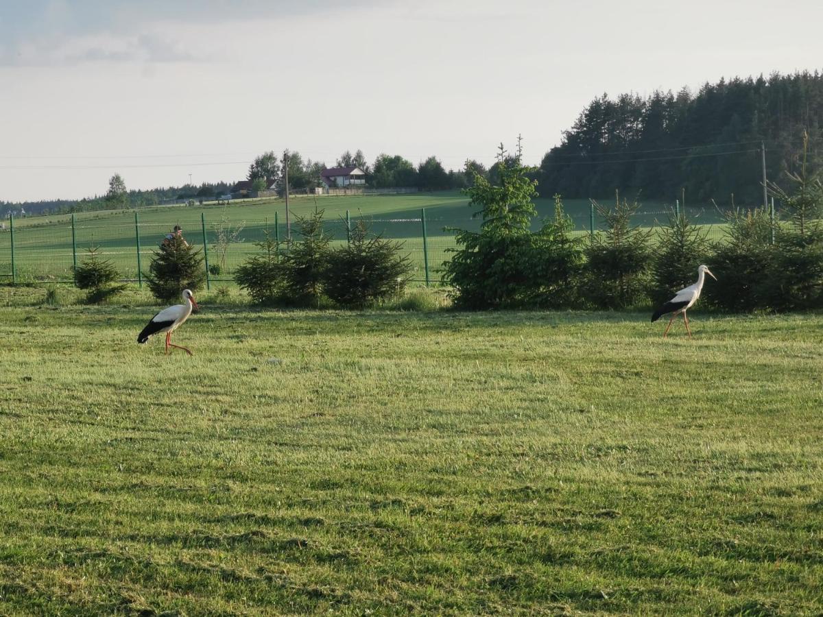 Edmart Villa Dobromisle Buitenkant foto